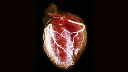Стурбованість здоров’ям шкодить серцю