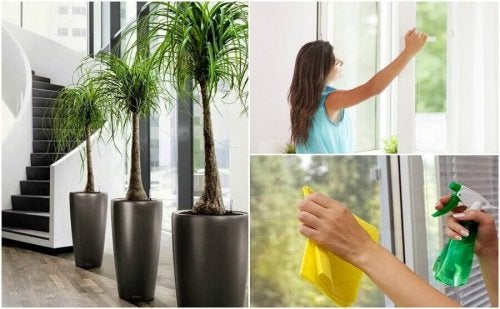 5 простих способів очистити повітря в кімнаті