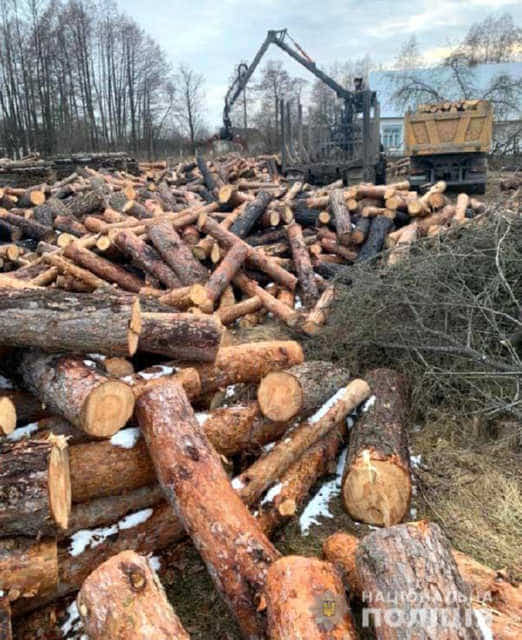 Майже 200 кубометрів незаконної деревини виявили поліцейські