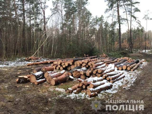 Майже 90 кубометрів незаконної деревини вилучили поліцейські