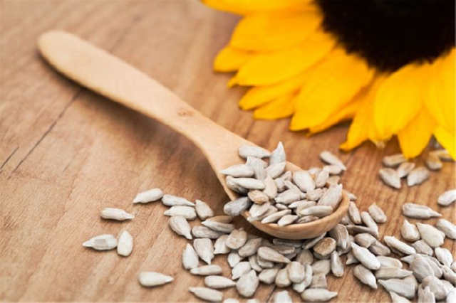 Чим корисне насіння соняшнику і що з нього можна приготувати?