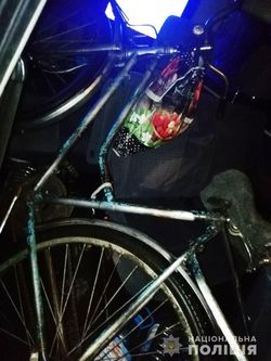 Юнак на мікроавтобусі збив велосипедистку
