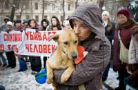 Мешканці Москви змогли відстояти права домашніх 
та безпритульних тварин. А нам - зась?
