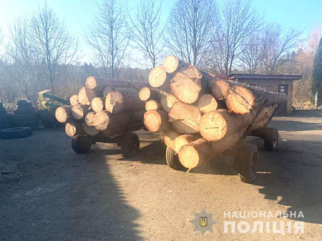 Трактори, бензопили, деревина: поліцейські викрили незаконних лісорубів
