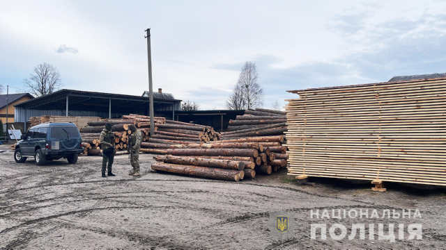 40 метрів кубічних деревини вилучили на пилорамі