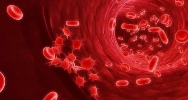 Рак крові: 6 ранніх ознак, які не можна ігнорувати