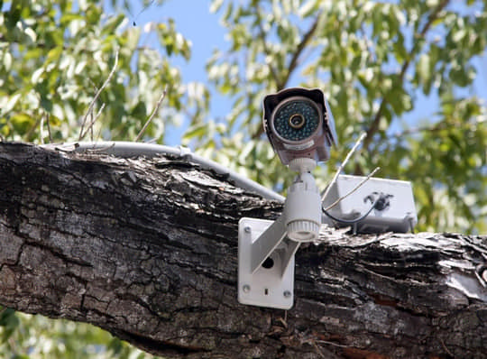 У лісах Рівненщини встановлено 73 відеокамери