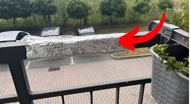 Навіщо обертати фольгою поручні на балконах: трюк, який позбавить від серйозної проблеми