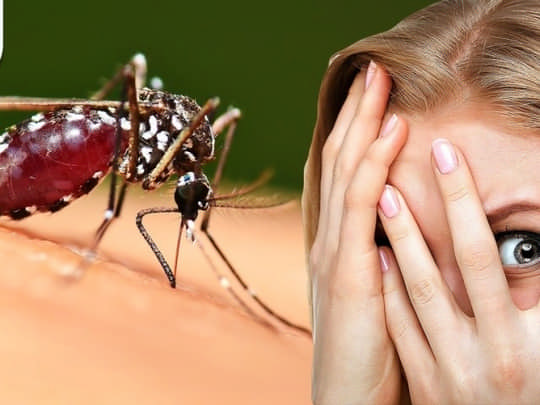 Ефективні засоби захисту від комарів