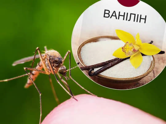 Ванілін проти комарів