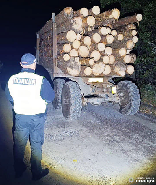 Рокитнівські поліцейські вилучили вантажівку із деревиною